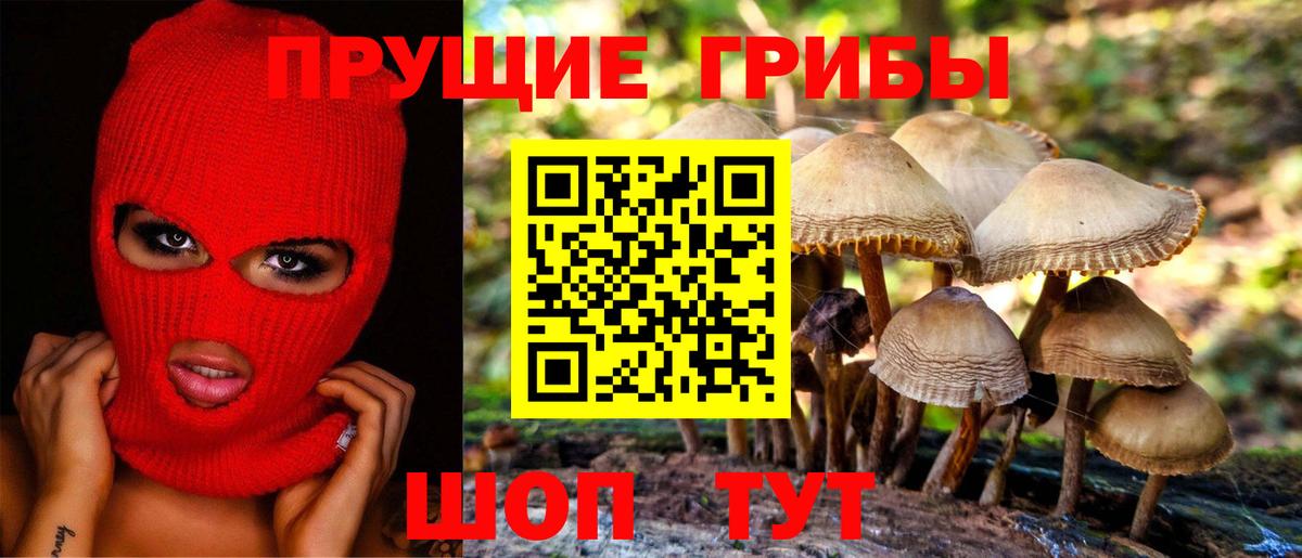 Галлюциногенные грибы Cubensis Нефтекумск