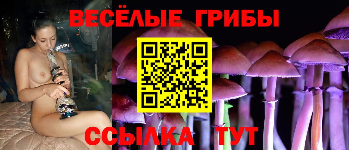 Псилоцибиновые грибы Psilocybe  наркошоп  Нефтекумск  Псилоцибиновые грибы Psilocybe  Вход с VPN 